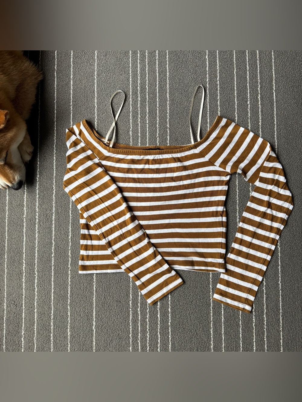 Striped Off-Shoulder Long Sleeve Top in Brown and White